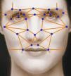 Face Recognition ActiveX DLL 1.1 screenshot