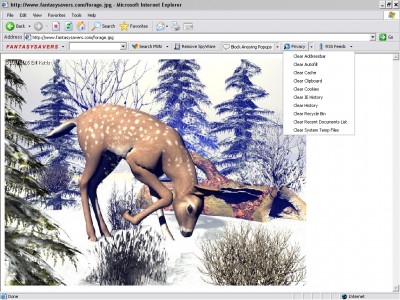 Fantasysavers Privacy Toolbar 4.0 screenshot Fantasysavers Privacy Toolbar 4.0 screenshot