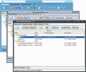 File Backup Watcher Professional 2.7.5 screenshot