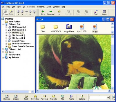 FileQuest XP 4.0.7 screenshot