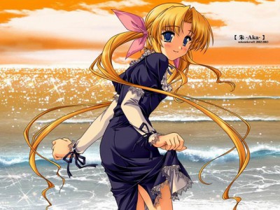 Free Anime Cartoon Screensaver 1.0 screenshot Free Anime Cartoon Screensaver 1.0 screenshot