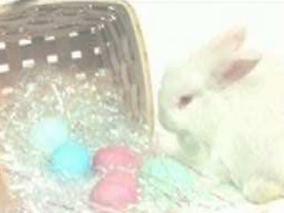 Free Happy Easter Screensaver 2.1 screenshot