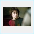 Free Harry Potter and the Goblet of Fire 2 Screens 1.0 screenshot