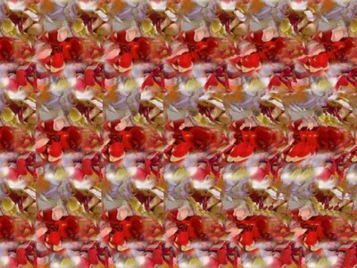 Free Stereogram Screensaver 1.0 screenshot