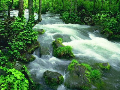 Free Wonderful Nature Screensaver 1.0 screenshot Free Wonderful Nature Screensaver 1.0 screenshot