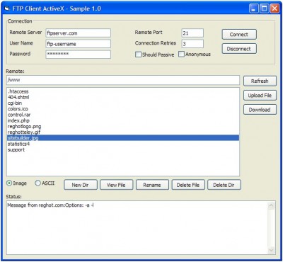 FTP Client ActiveX (OCX) 1.0 screenshot