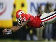 Georgia Bulldogs Screensaver 1.00 screenshot