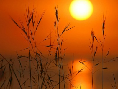 Gorgeous Sunsets II 1.00 screenshot