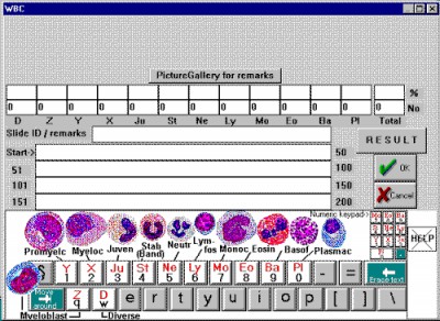 HemoDiff 1.0 screenshot