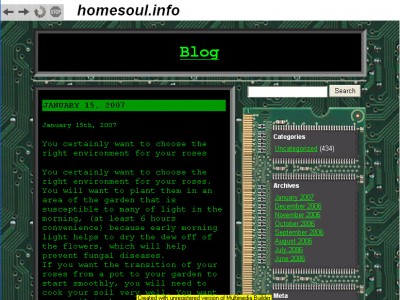 homesoul.exe 1.0 screenshot