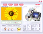 Hot AVI to DVD Converter 1.1.37 screenshot Hot AVI to DVD Converter 1.1.37 screenshot