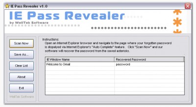 IE Pass Revealer 1.0 screenshot IE Pass Revealer 1.0 screenshot