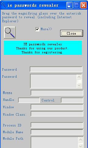 ie Passwords Revealer 2.0 screenshot ie Passwords Revealer 2.0 screenshot