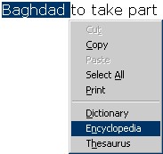 IELanguage 1.0 screenshot