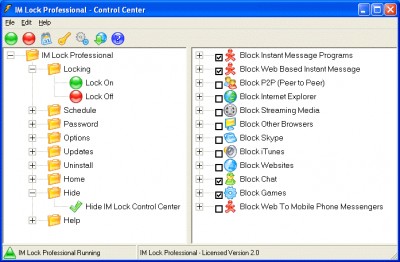 IM Lock Professional 2007 screenshot