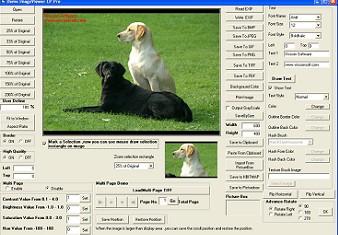 Image, PDF ActiveX  Image Viewer CP Pro 4.102 screenshot