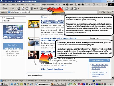 Image Downloader 1.0a screenshot