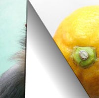 Image Rotators Set 2 1.0 screenshot Image Rotators Set 2 1.0 screenshot