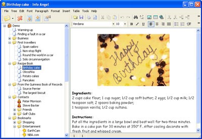 Info Angel Professional 3.2 screenshot Info Angel Professional 3.2 screenshot