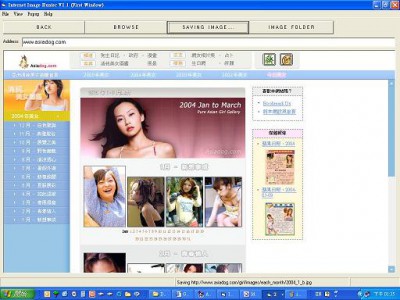 Internet Image Hunter 1.1 screenshot Internet Image Hunter 1.1 screenshot