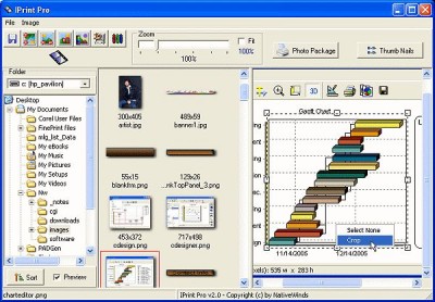 IPrint Pro 2.0 screenshot IPrint Pro 2.0 screenshot