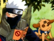 Kakashi Screensaver 1.0 screenshot