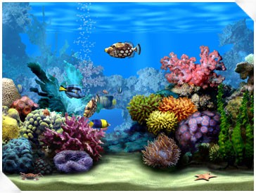 Living Marine Aquarium 2.0 screenshot Living Marine Aquarium 2.0 screenshot