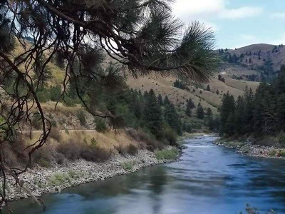 Living Rivers ScreenSaver 2.0 screenshot Living Rivers ScreenSaver 2.0 screenshot