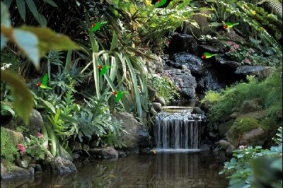 Living Waterfalls 1.0 screenshot Living Waterfalls 1.0 screenshot
