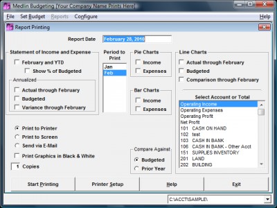 Medlin Budgeting 2008 screenshot