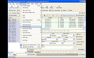 Mp3 Tag Assistant Professional 2.91 screenshot