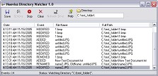 Naevius Directory Watcher 1.0 screenshot Naevius Directory Watcher 1.0 screenshot