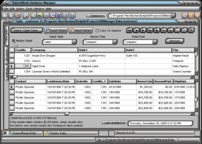 NativeWinds Database Manager 1.1.5 screenshot