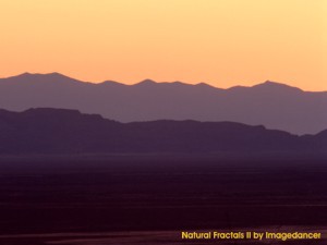 Natural Fractals 3.0 screenshot