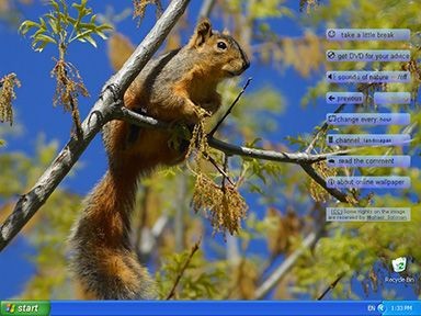 Nature Online Wallpapers 2.1 screenshot Nature Online Wallpapers 2.1 screenshot