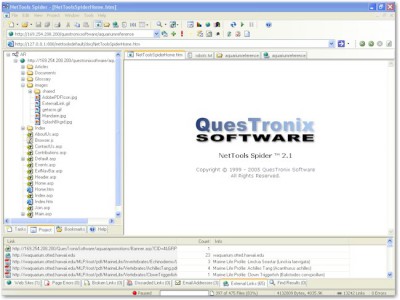 NetTools Spider 2.1 screenshot