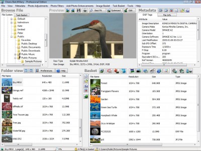Oriens BatchMany Pro 3.1 screenshot Oriens BatchMany Pro 3.1 screenshot