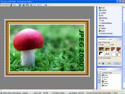 Oriens JPEG2000 Professional 1.3.0.160 screenshot Oriens JPEG2000 Professional 1.3.0.160 screenshot