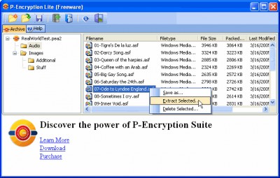 P-Encryption Lite 3.6.8.11 screenshot