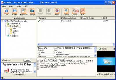 Packpal Flash Downloader 6.50 screenshot Packpal Flash Downloader 6.50 screenshot