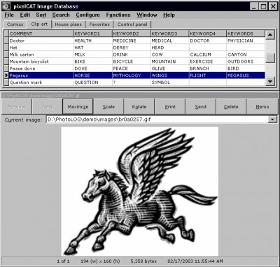 pixelCAT 1.00 screenshot
