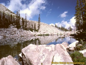 Pristine Waters 3.0 screenshot Pristine Waters 3.0 screenshot