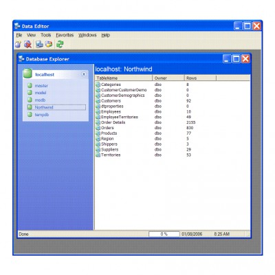 Provectus Data Editor 2.1 screenshot Provectus Data Editor 2.1 screenshot