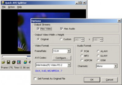 Quick AVI Splitter 3 2.8 screenshot Quick AVI Splitter 3 2.8 screenshot