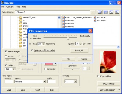 ReaJpeg - image converter to Jpeg 1.2 screenshot ReaJpeg - image converter to Jpeg 1.2 screenshot