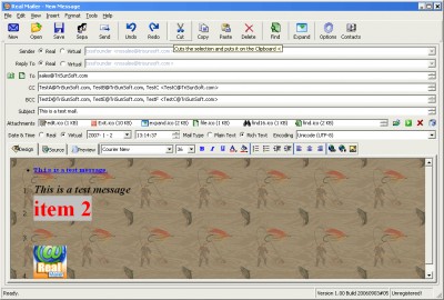 Real Mailer 1.00 screenshot Real Mailer 1.00 screenshot