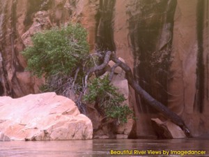 River Views 3.0 screenshot River Views 3.0 screenshot