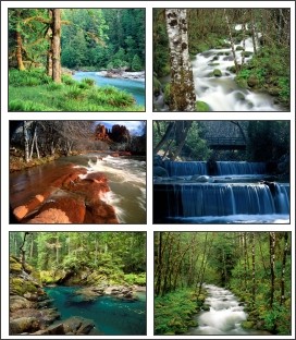 Rivers In Nature Screensaver 1.0 screenshot