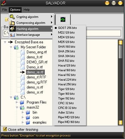 SALVADOR 2.7.2 screenshot