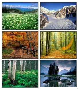 Seasonal Changes Screensaver 1.0 screenshot Seasonal Changes Screensaver 1.0 screenshot